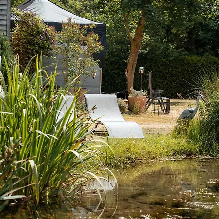 Altes Forsthaus Im Harz Apartment