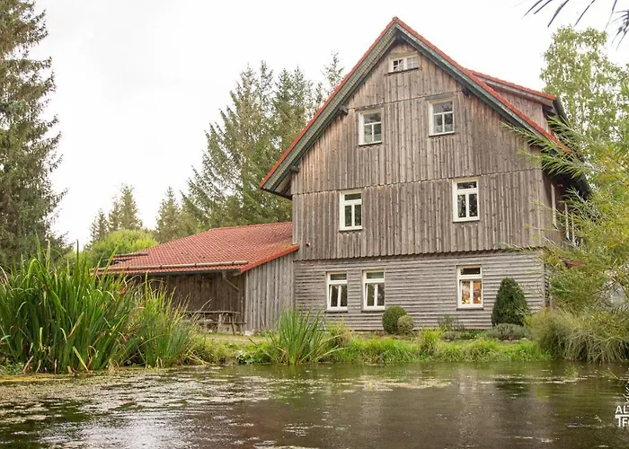 アパート Altes Forsthaus Im Harz エルビンガーオーデ