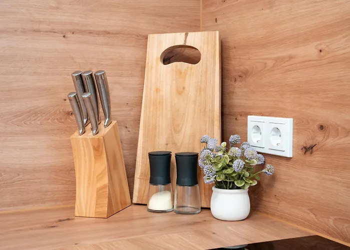 Altes Forsthaus Im Harz エルビンガーオーデ