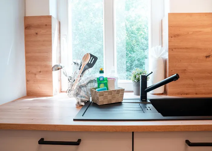 Altes Forsthaus Im Harz アパート