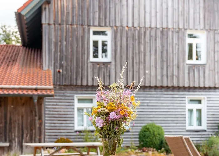 アパート Altes Forsthaus Im Harz *